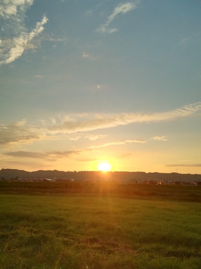 今朝の空