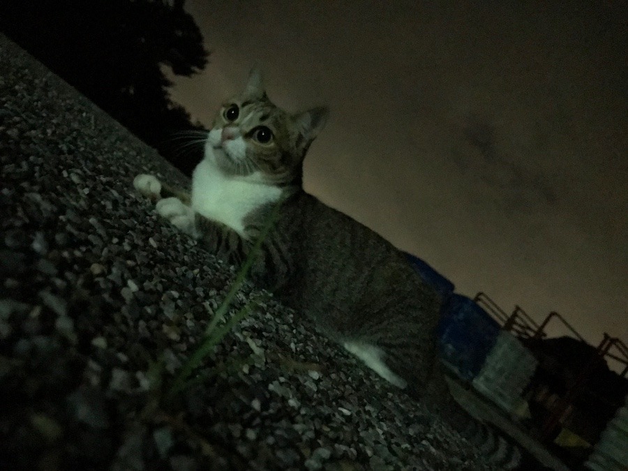 台風が……2