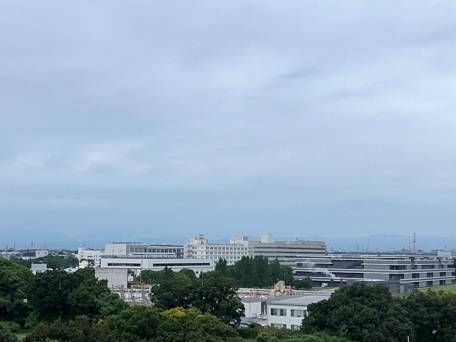 今朝の富士山