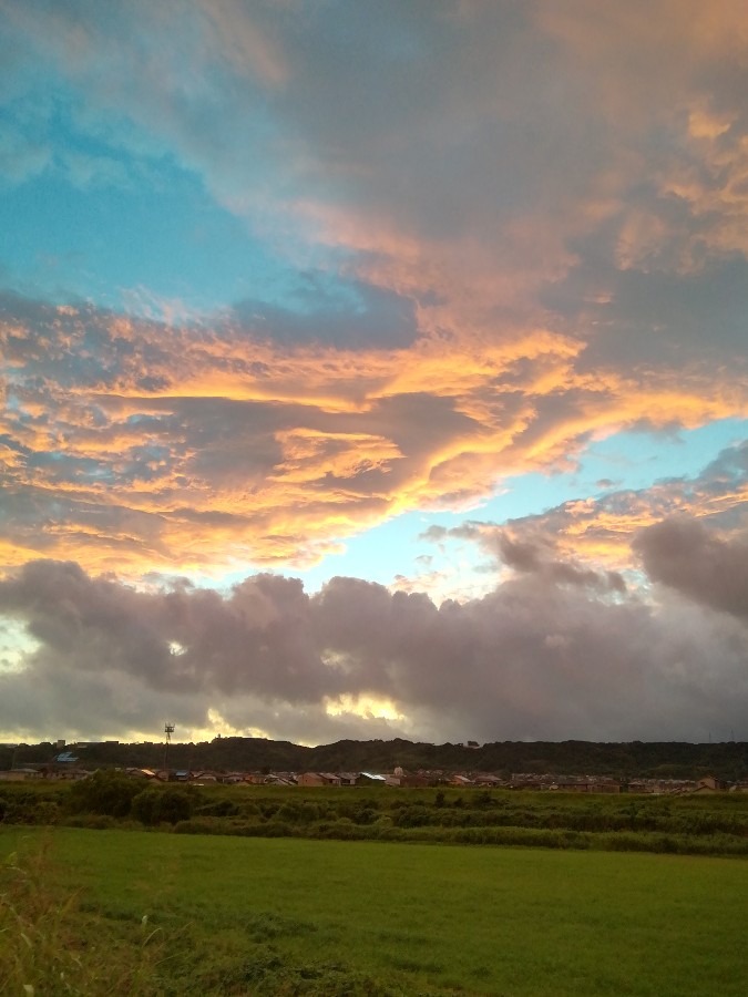 今朝の空