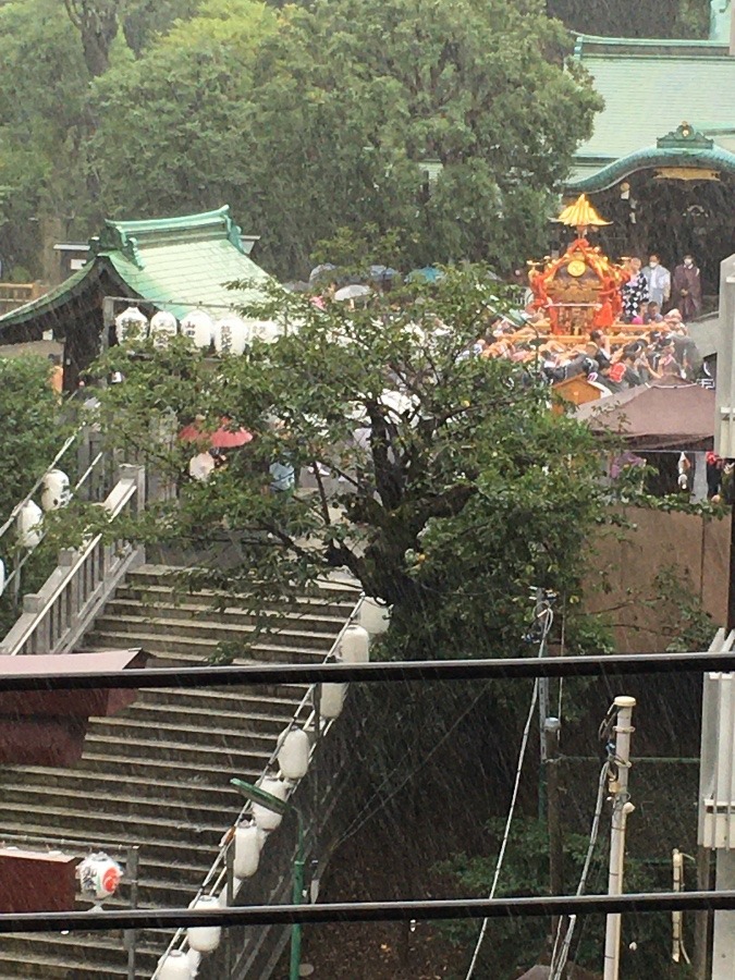 氷川神社のお祭り②