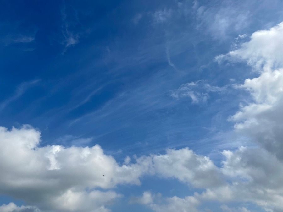 朝の空