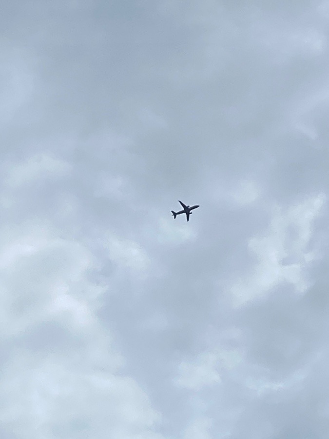 飛行機✈️✈️✈️