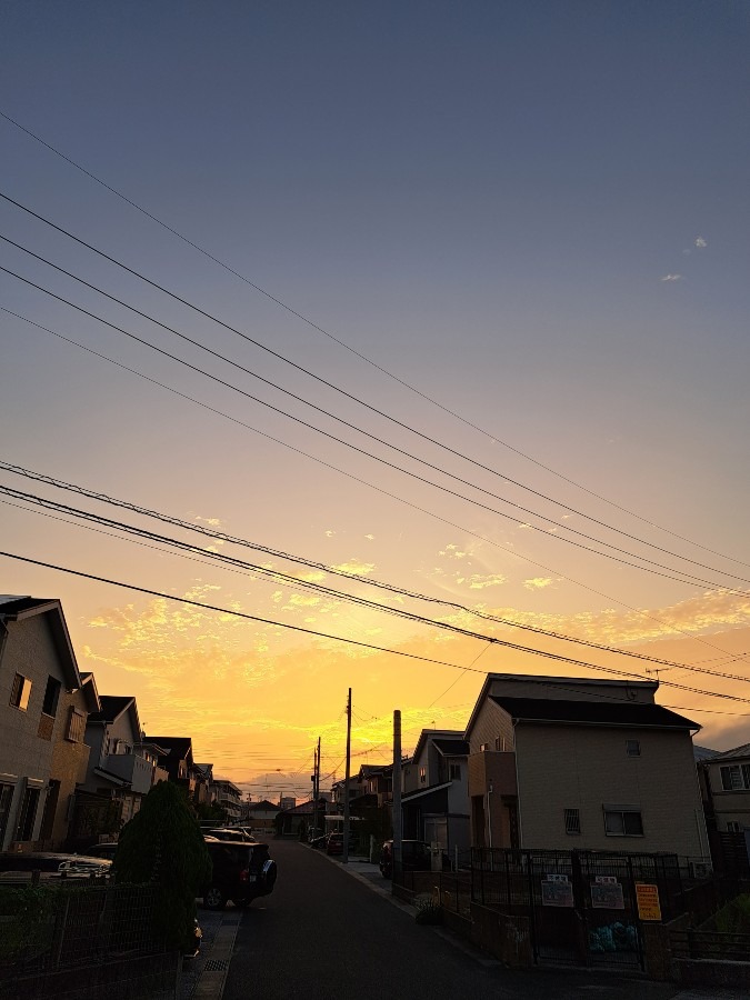 朝の風景