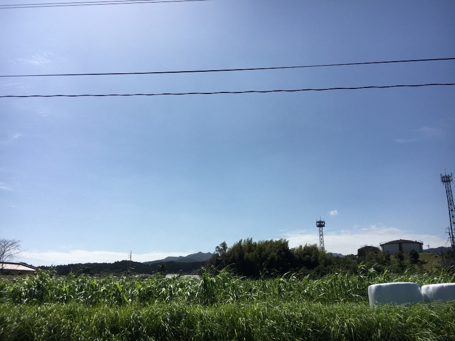 ⭕️空部→   いま空（≧∇≦）‼️136.