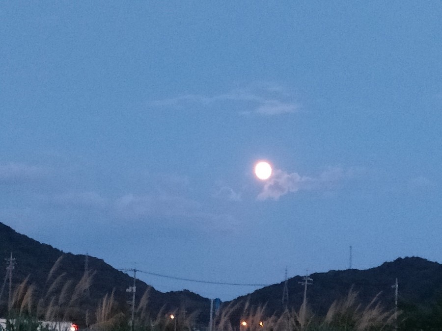 月が綺麗です🌕