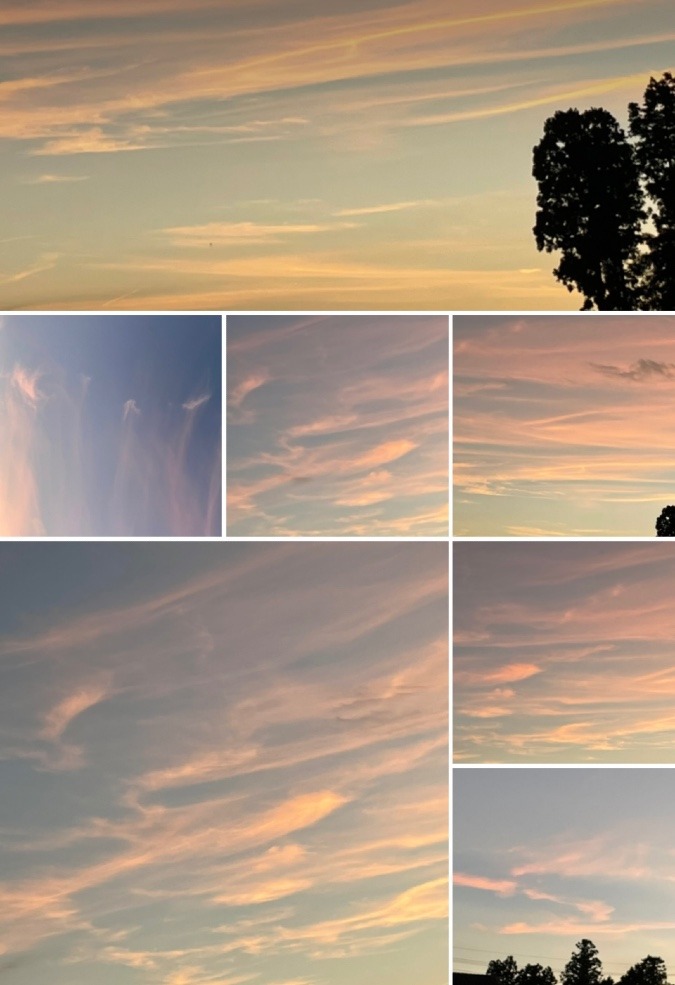 空を見上げて