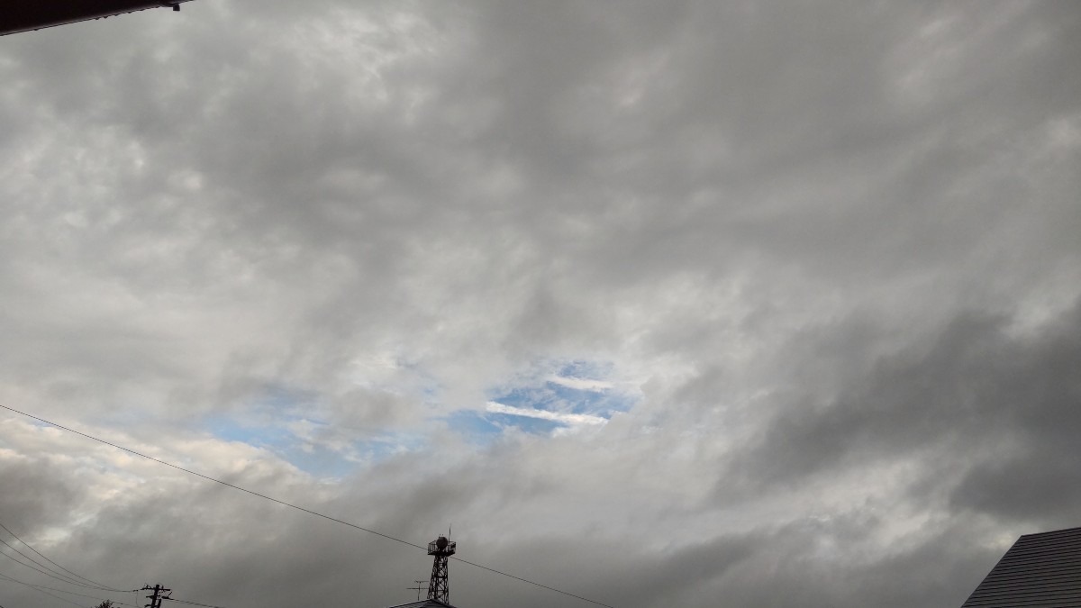 垣間見れた、飛行機雲❗️