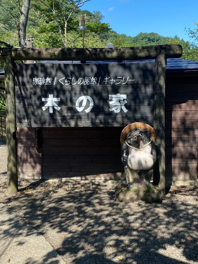 手ん店市🎶🎶🎶