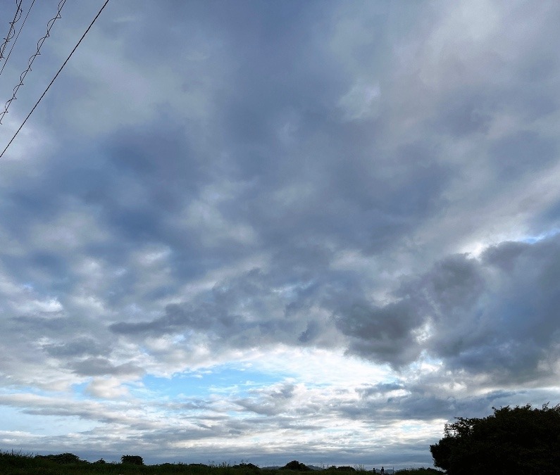 朝の空