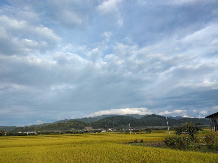 真っ白な雲と虹🌈