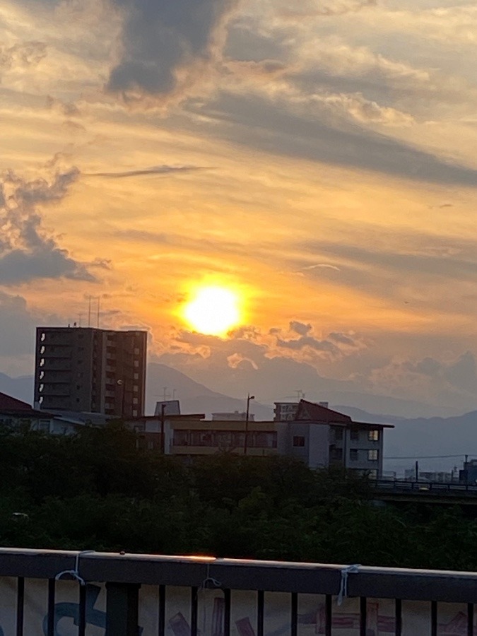 夕陽🌇🌇🌇