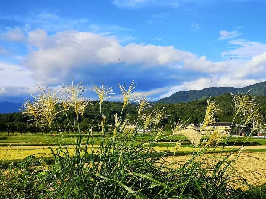 寝坊しました～(((^^;)