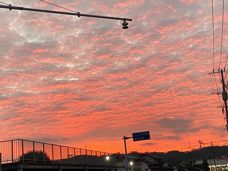 今朝の空　9／25