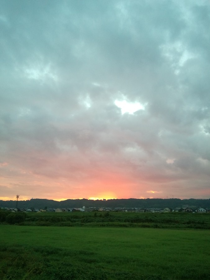 今朝の空