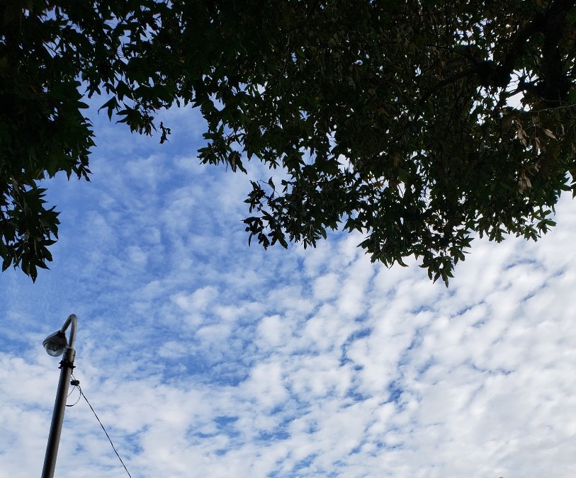 今日の空－9月25日