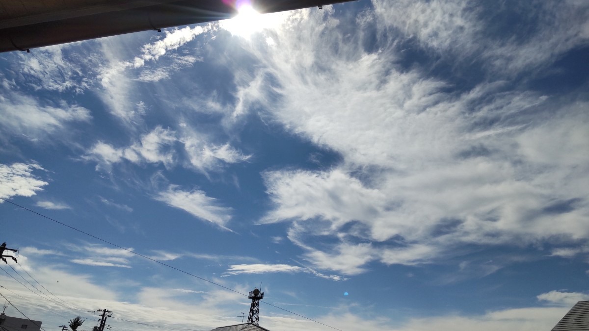 やはり、秋空。空が高い！