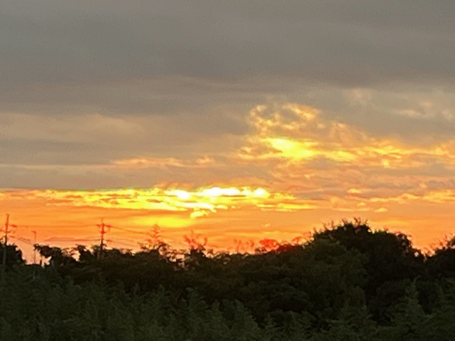 【朝の空】