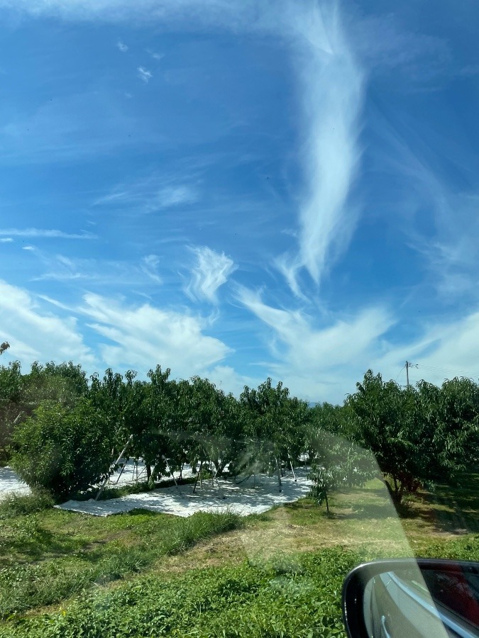 雲が夏