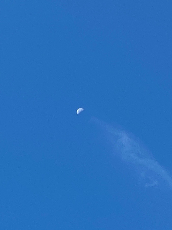 朝のお月さん🌕🌕🌕