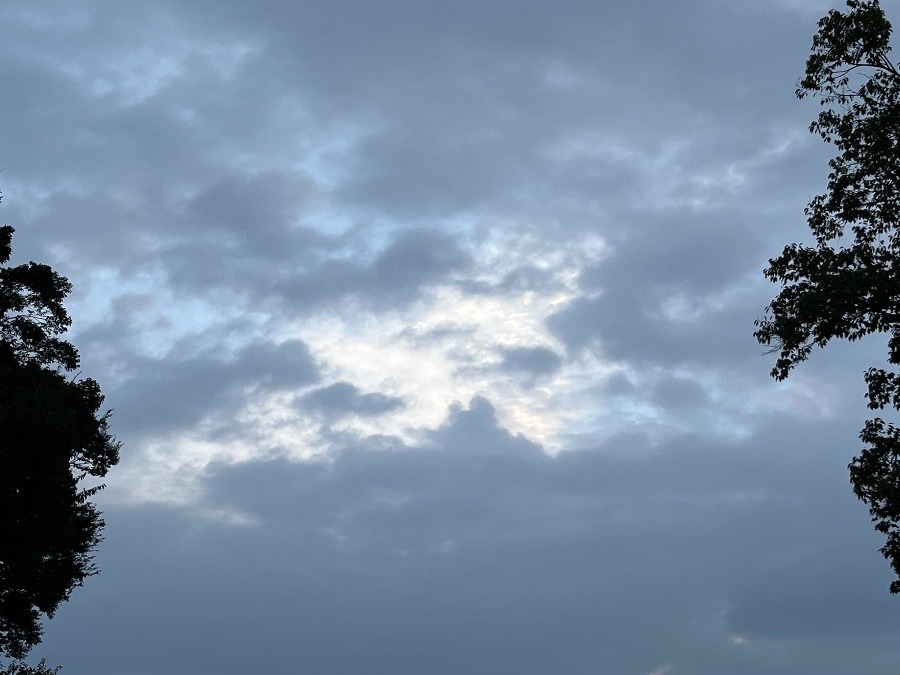 【朝の空】