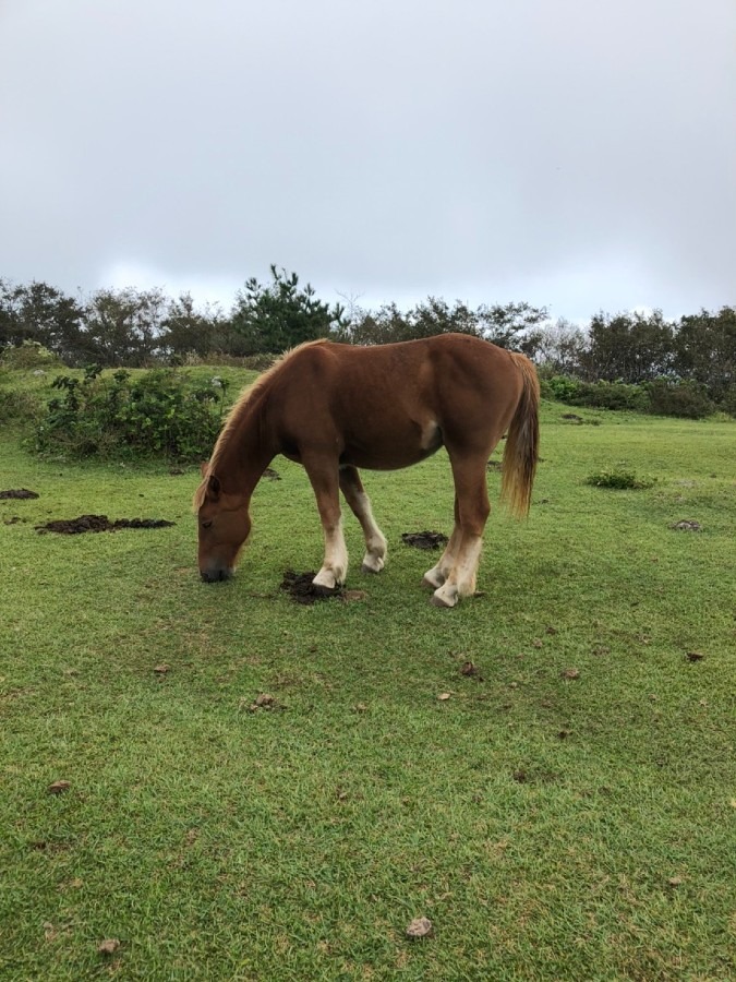 隠岐の島で同窓会　Ⅵ