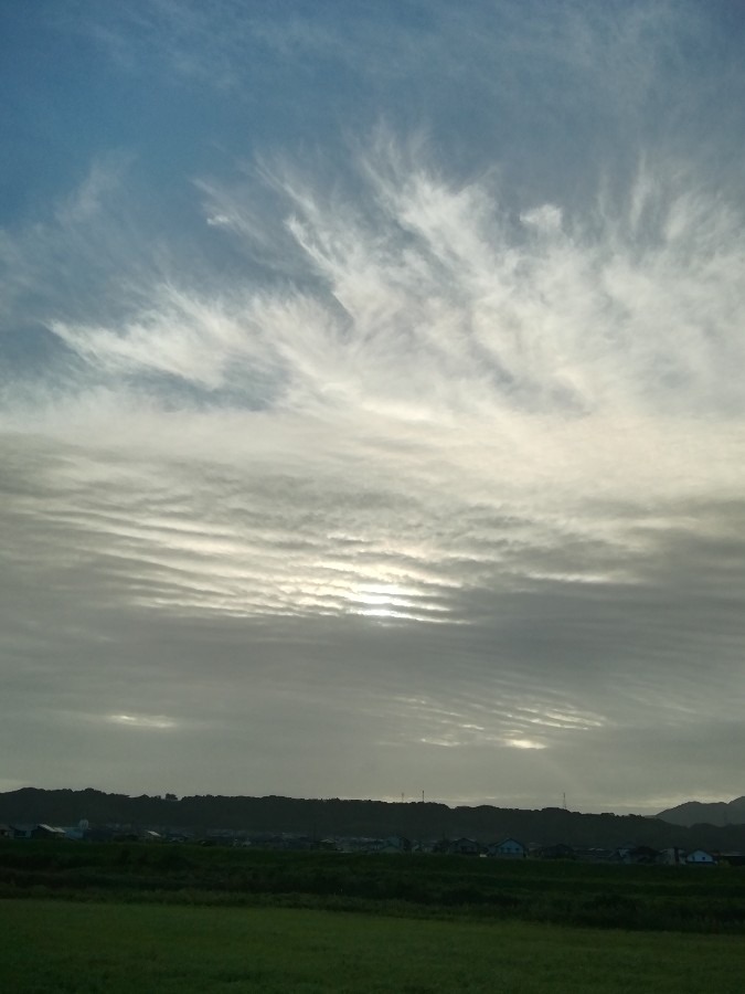 今朝の空