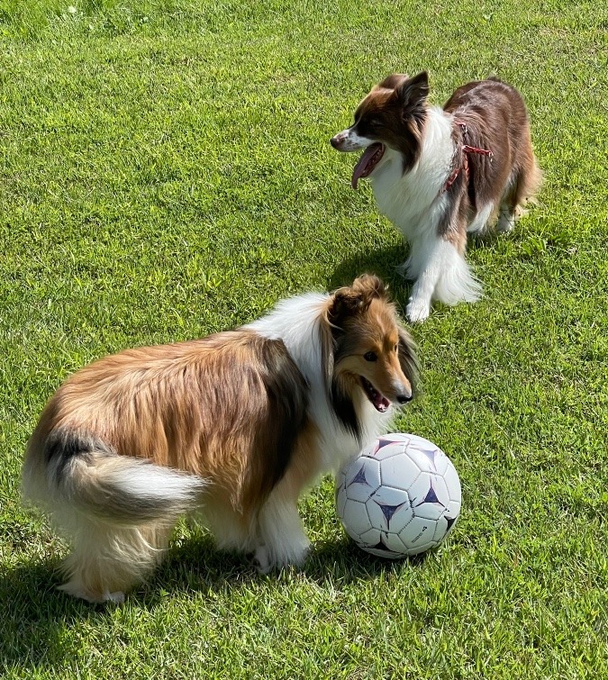 サッカー大好き😘