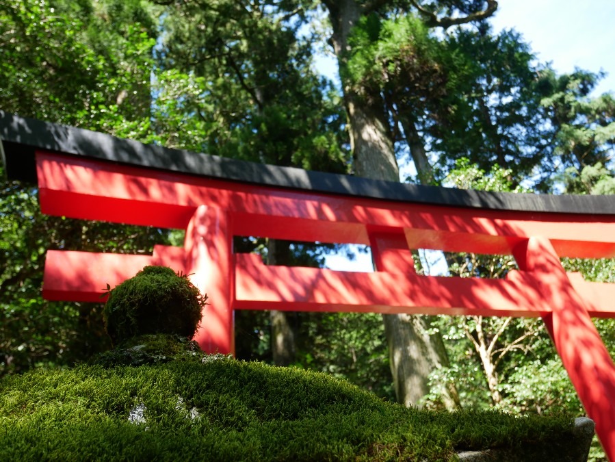 【神奈川元箱根】箱根神社