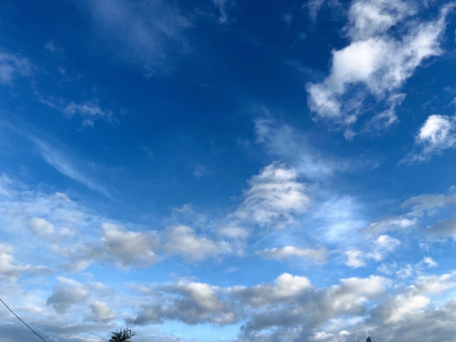 朝の空