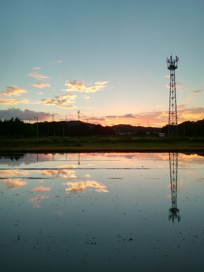 夕焼け
