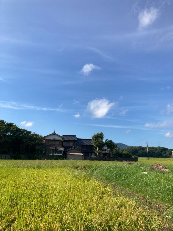 気持ちがいい空