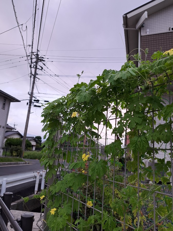 9/11　今朝の空