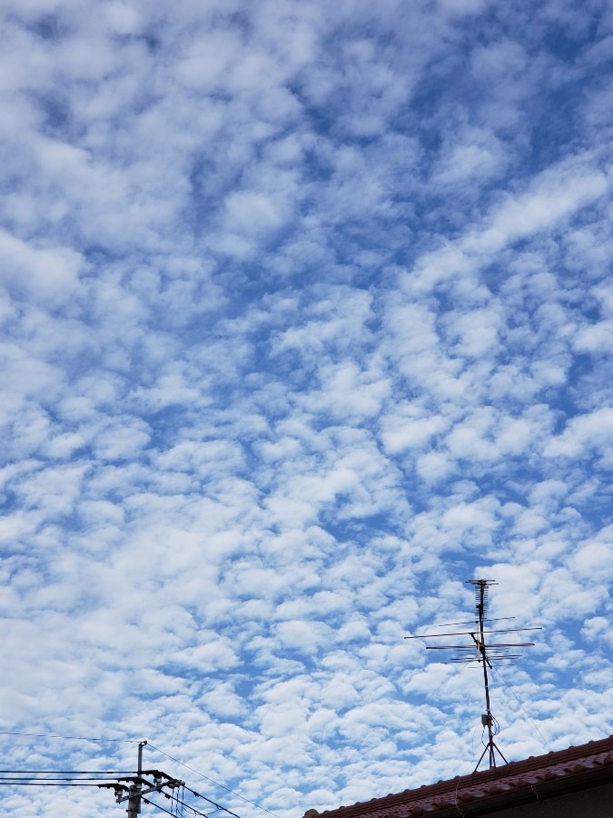 今日の空－9月21日