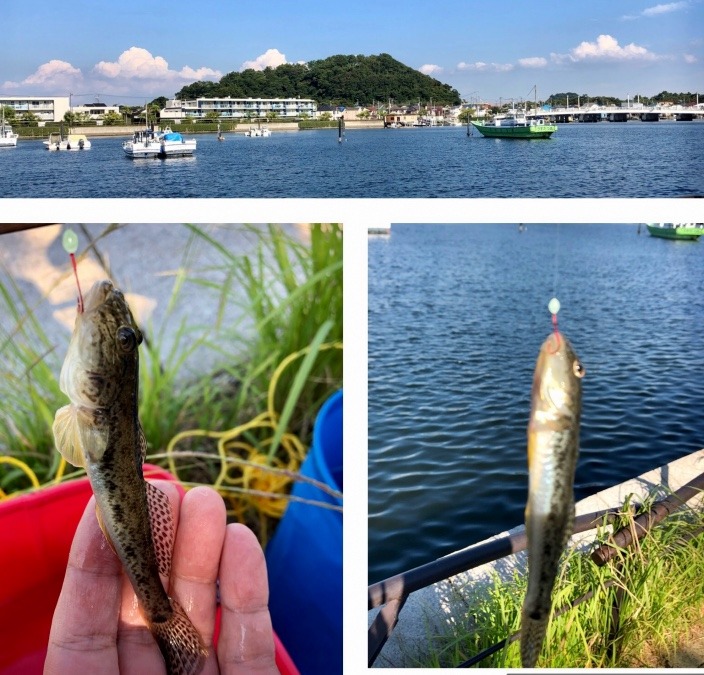 金沢八景平潟湾にて初釣り体験中