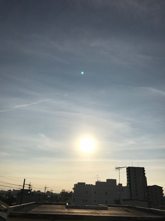 朝陽☀️✨