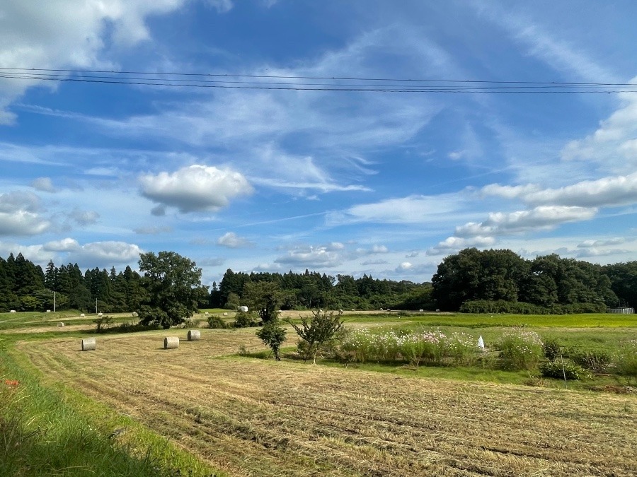 那須高原でちょと寄り道