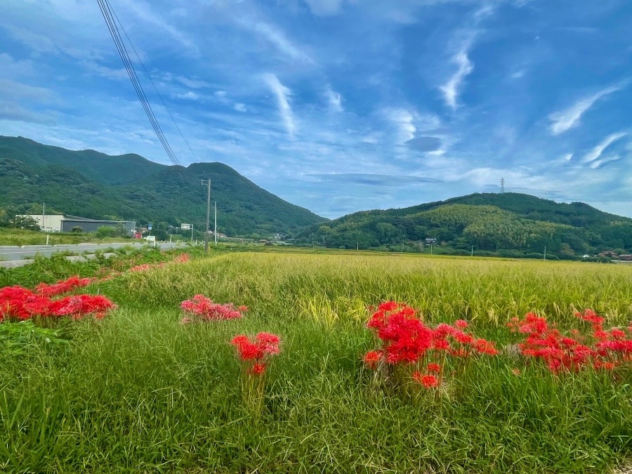 朝の空　8時頃