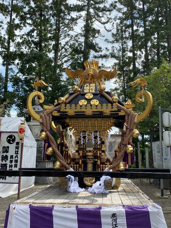 寒河江八幡宮本神輿⛩⛩⛩