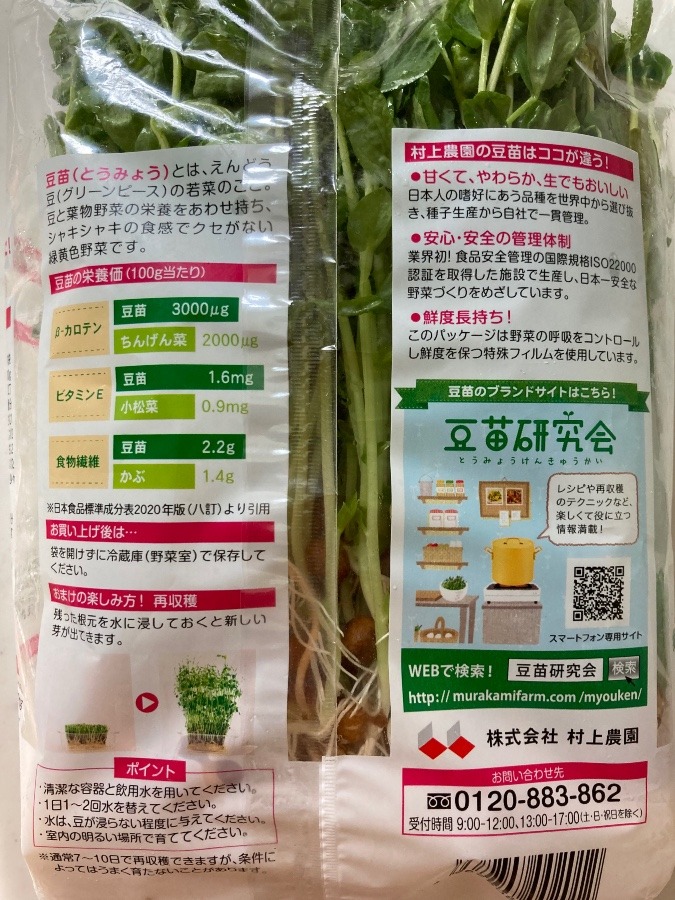 豆苗を買った理由①