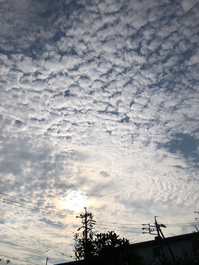 🌥今朝は秋風の勝ち🍃