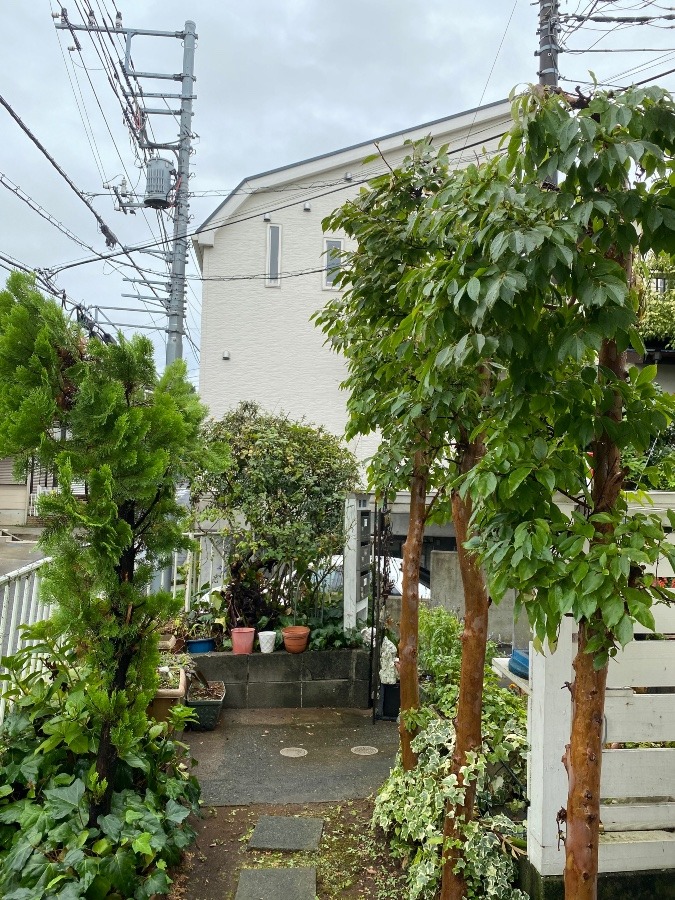 台風が来る前に