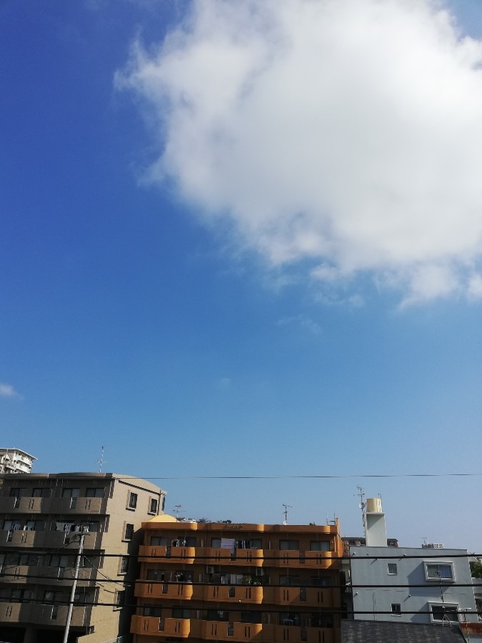 今日の空!