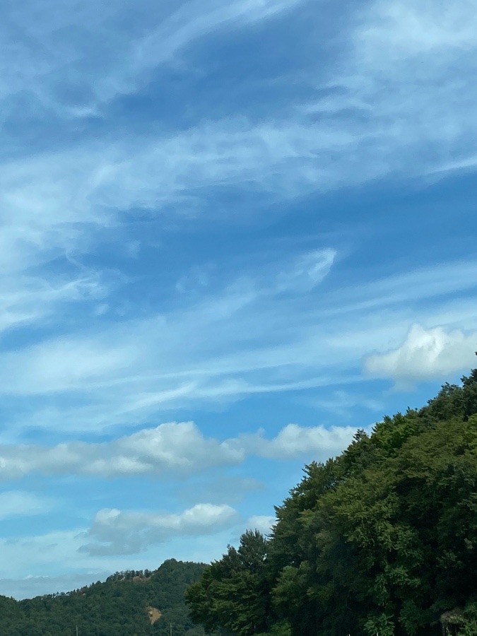 綺麗な青空☀️☀️☀️