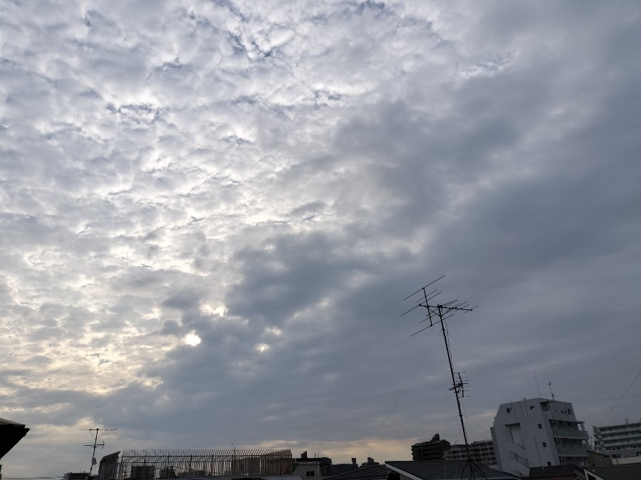 9月29日朝の空