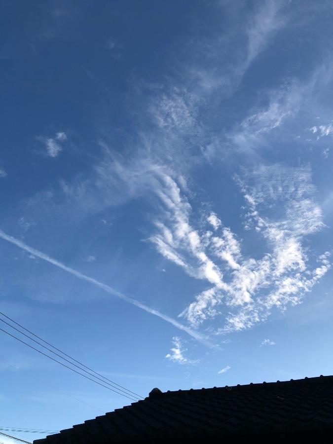 飛行機雲ではないのかな…