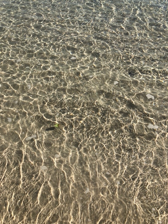 ✨煌めき✨🌊