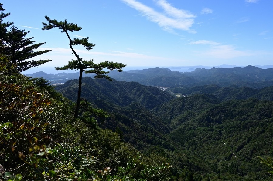 隠岐島　Ⅳ