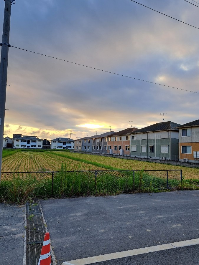 朝の散歩