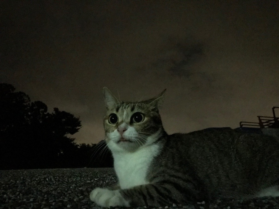 台風が……